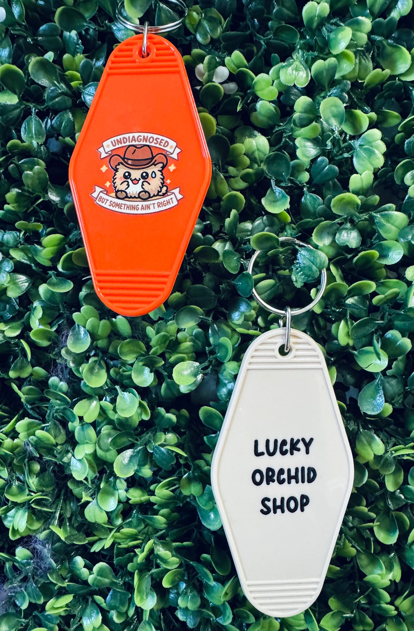 Undiagnosed Motel Keychains