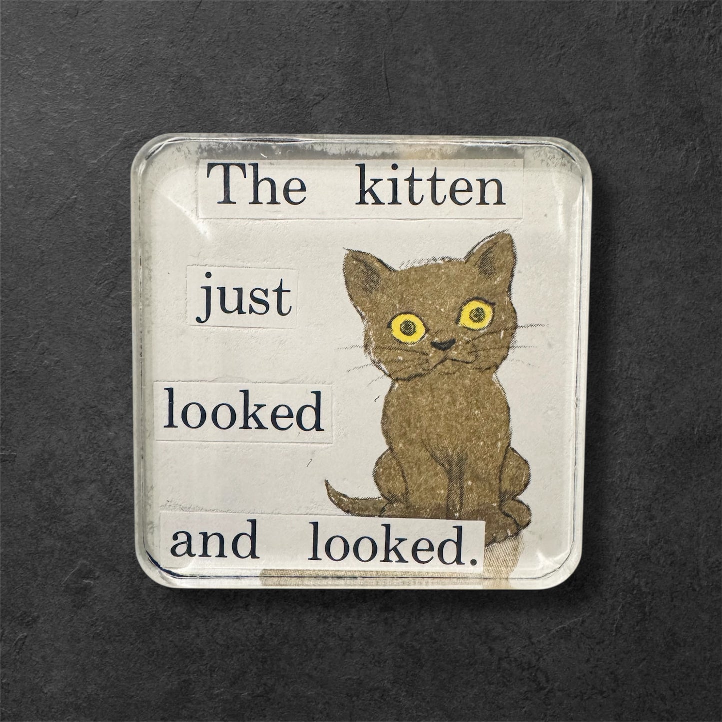 The Kitten Magnet (2x2)