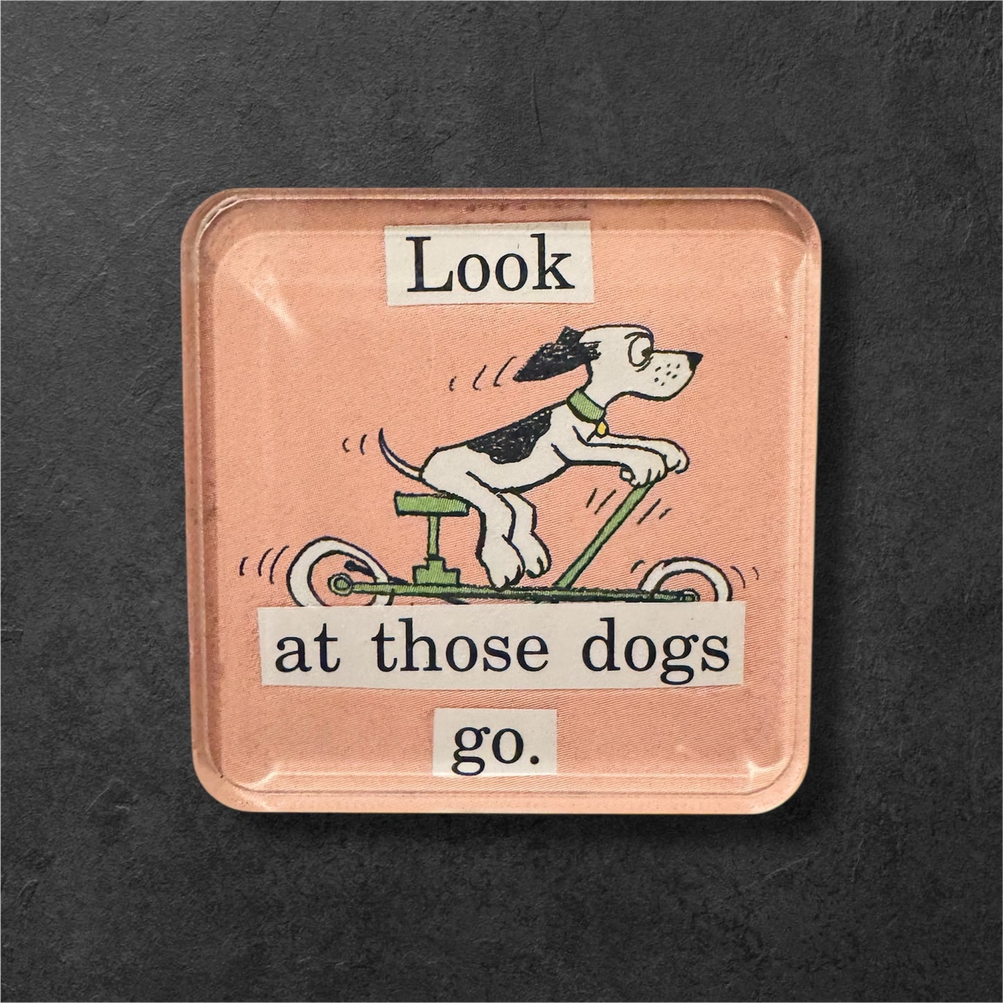 Look At Those Dogs Magnet (2x2)